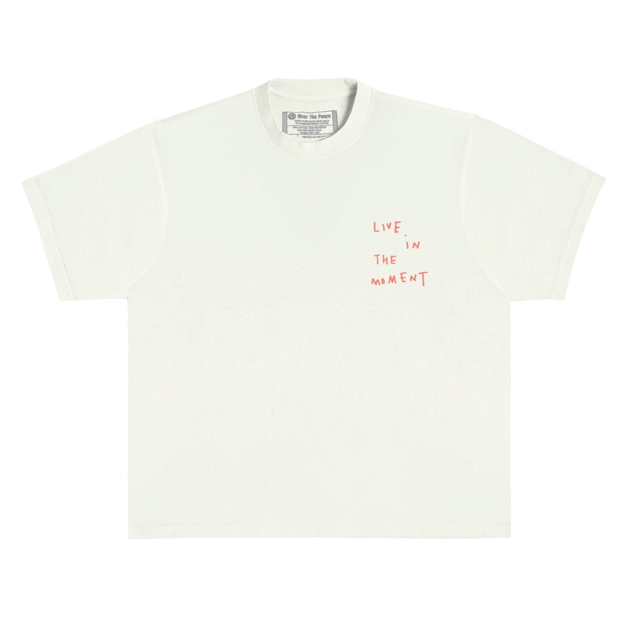 Live In The Moment Heavyweight Tee: Pistachio, 2XL